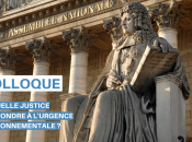 "Quelle justice pour répondre l'urgence environnementale intervention d'Arnaud Gossement colloque organisé députée Bérangère Abba, janvier l'Assemblée nationale