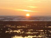 même objectif (fin)