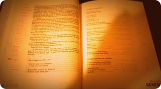 #2020RacontePasTaVie - jour 10, paracha