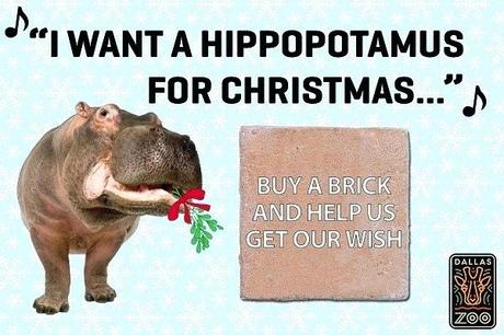 hippo gifts the zoo has unique and special gifts that are guaranteed to surprise and delight the hardest person to shop for hippo habitat brick hippo gifts and merchandise