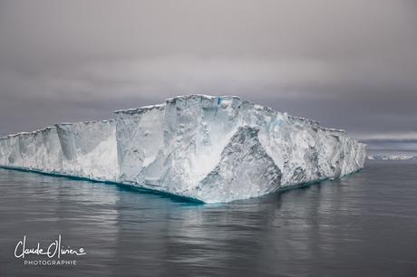 L'aventure merveilleuse en Antarctique ! Partie 3: Grytviken et les Orcades du Sud !