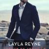 Agents et associés T4 : Double objectif de Layla Reyne Agents et associés T4 : Double objectif de Layla Reyne
