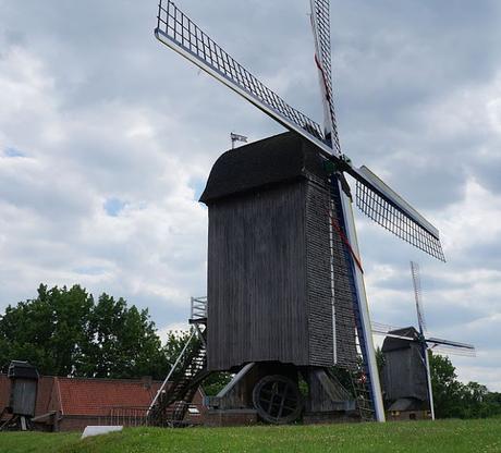 Un moulin à grains et à oléagineux, un prochain investissement pour Ecolo-bio-nature ?