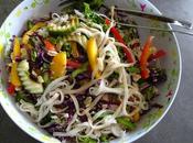 Salade légumes colorés nouilles avec dressing asiatique Drummond