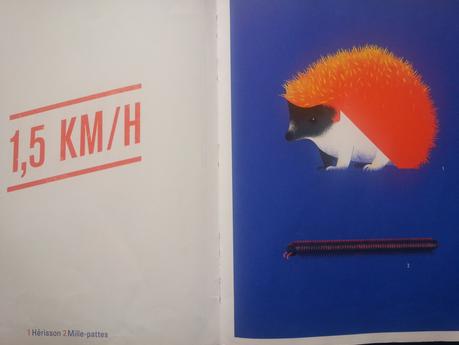 A toute vitesse! Cruschiform – 2013 (Dès 5 ans)