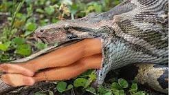 Les Voix Devront Porter Les Voix Devront Porter