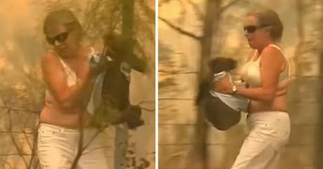 Trois Prises Contre le PM Australien