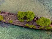 naufrage abandonné Australie récupéré nature