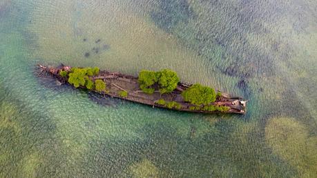 Un naufrage de 100 ans abandonné en Australie est récupéré par la nature