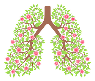 Méditations possibles... (1)