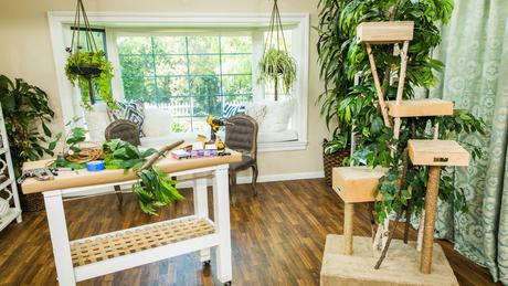 Fabriquer son arbre à chat écoresponsable