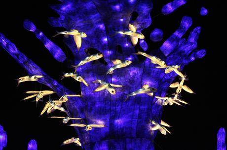 Océans en voie d’illumination au Jardin des plantes