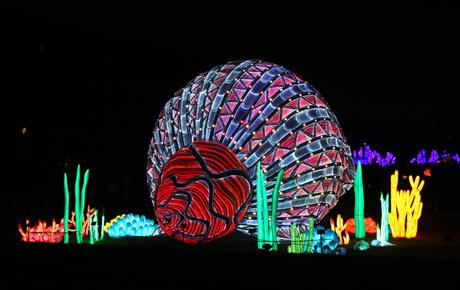 Océans en voie d’illumination au Jardin des plantes