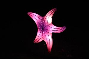 Océans en voie d’illumination au Jardin des plantes