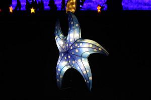 Océans en voie d’illumination au Jardin des plantes