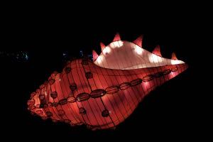 Océans en voie d’illumination au Jardin des plantes