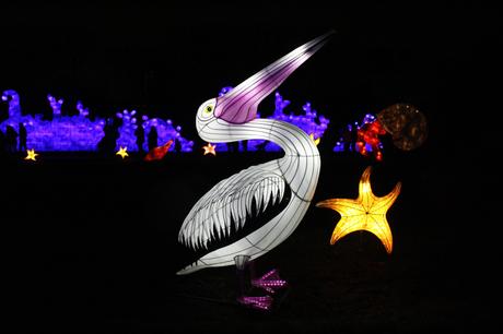 Océans en voie d’illumination au Jardin des plantes