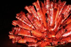 Océans en voie d’illumination au Jardin des plantes