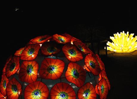 Océans en voie d’illumination au Jardin des plantes