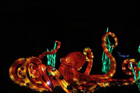 Océans en voie d’illumination au Jardin des plantes