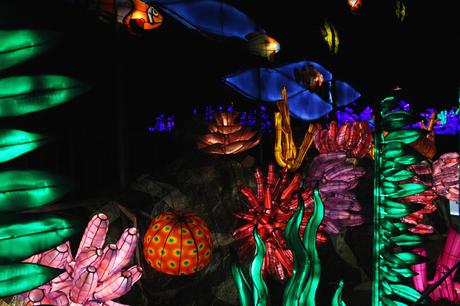Océans en voie d’illumination au Jardin des plantes