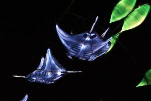 Océans en voie d’illumination au Jardin des plantes