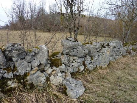 Carnet / Une grosse pierre carnet,note,journal,autobiographie,blog littéraire de christian cottet-emard,poèmes du bois de chauffage,éditions germes de barbarie,christian cottet-emard,la grosse pierre,poésie,poème,littérature,texte,muret jurassien,campagne,saisons,frêne,sanglier,chevreuil,animaux sauvages,forêt,pré,jardin,potager,thym citron,coquelicot,pétale,scotch whisky isle of jura,écosse,pomme de terre vitelotte,mortadelle,cigare partagas,café au lait,vie quotidienne,effort,tabac,alcool,nourriture