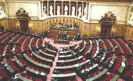 Bioéthique 2020 (5) : le Sénat vote le principe de la PMA pour toutes Bioéthique 2020 (5) : le Sénat vote le principe de la PMA pour toutes