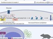 #trendsincellbiology #métabolisme #cellule Régulation Métabolique Destin Fonction Cellulaires
