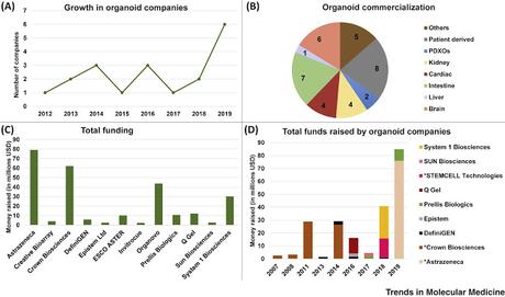 #trendsinmolecularmedicine #organoïdes Commercialisation des Organoïdes #trendsinmolecularmedicine #organoïdes Commercialisation des Organoïdes