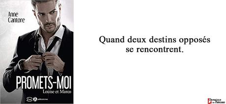 Sur mon île ... # 37 (Retour sur mes lectures de 2019) Sur mon île ... # 37 (Retour sur mes lectures de 2019)