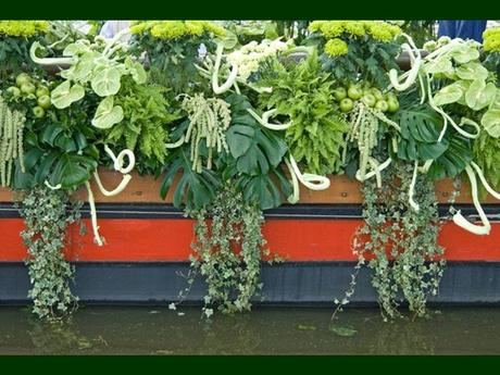 Pays Etranger - La Hollande - 2