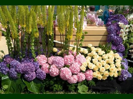 Pays Etranger - La Hollande - 2