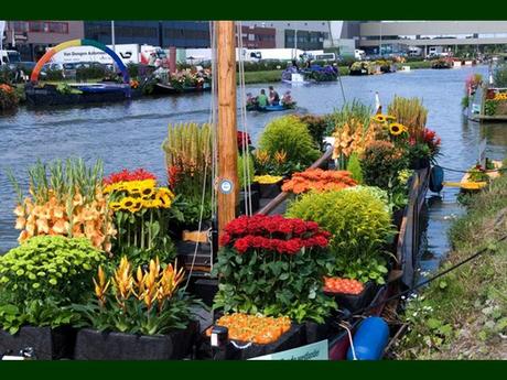 Pays Etranger - La Hollande - 2