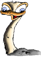 Blague - Le vieil homme et l'autruche