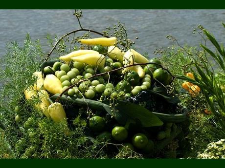 Pays Etranger - La Hollande - 1