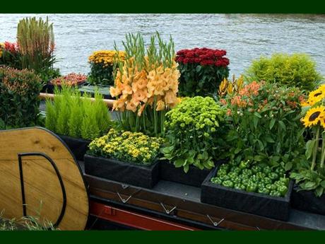 Pays Etranger - La Hollande - 1