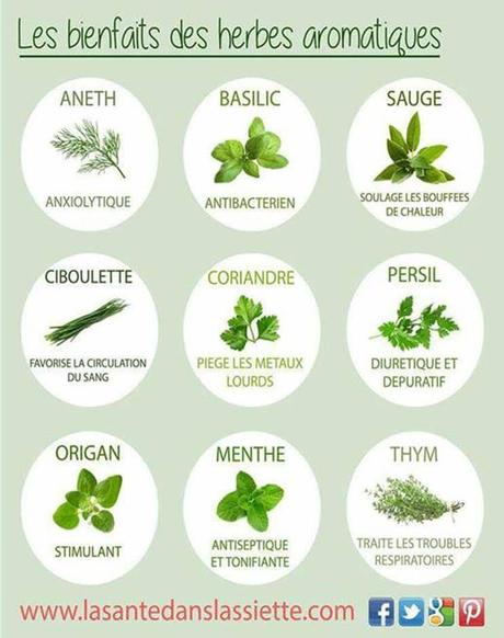 Divers - Notre digestion