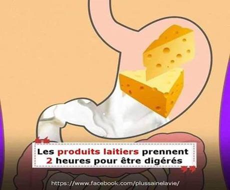 Divers - Notre digestion