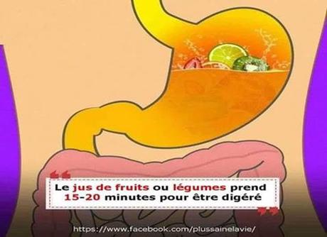 Divers - Notre digestion