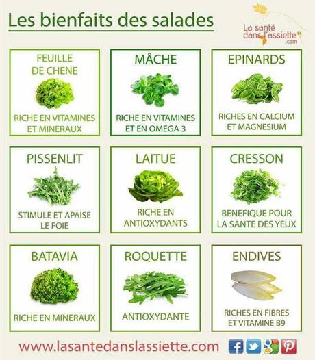 Divers - Notre digestion