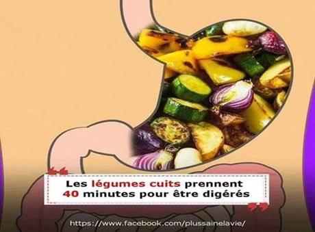 Divers - Notre digestion