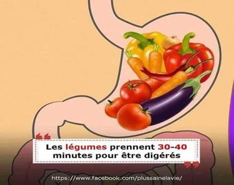 Divers - Notre digestion