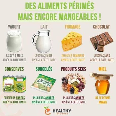 Divers - Notre digestion