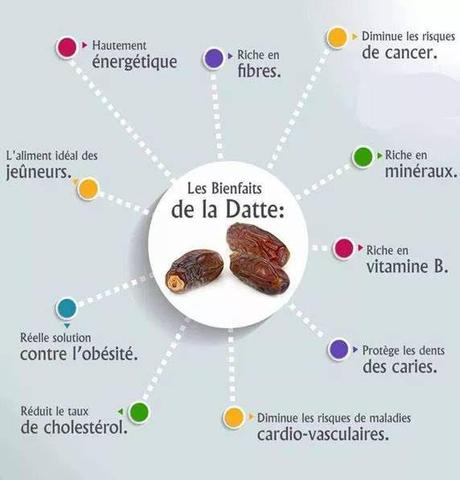 Divers - Notre digestion