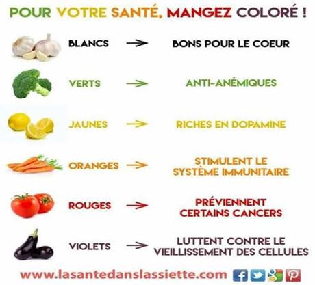 Divers - Notre digestion