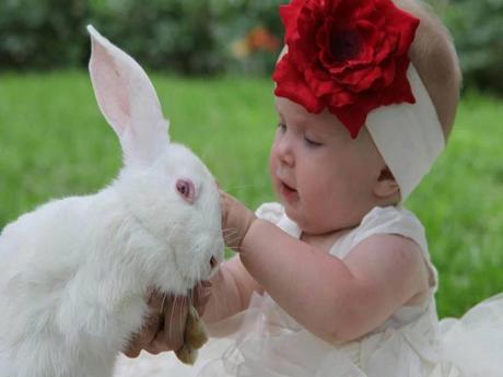 Divers - Symphonie en blanc - 2