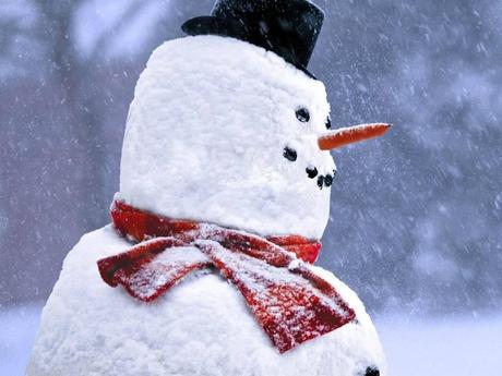 Divers - Symphonie en blanc - 2