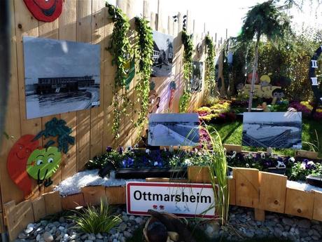 La France - Foeli Flore de  Mulhouse 