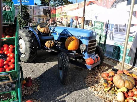La France - Foeli Flore de  Mulhouse 